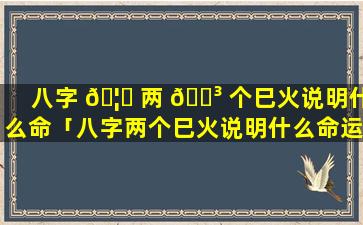 八字 🦅 两 🐳 个巳火说明什么命「八字两个巳火说明什么命运」
